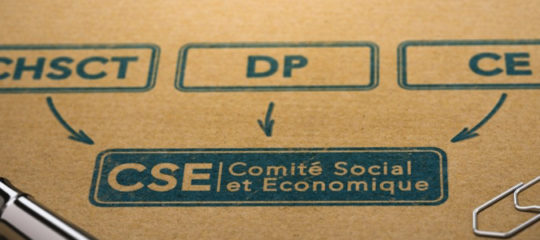 comité social et économique